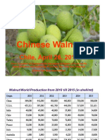 Chinese Walnut: Chile, April 26, 2016