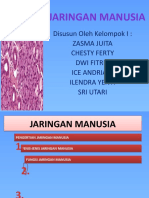 Jaringan Manusia Kelompok 1