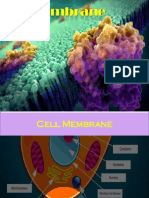 9.1-Cell-Membrane.pdf
