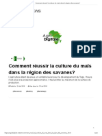 Comment Réussir La Culture Du Maïs Dans La Région Des Savanes - PDF