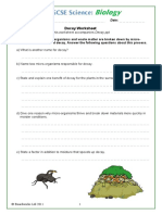 Decay Worksheet