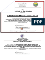 Christopher Eric Labadia Abejar: Certificate of Participation