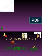 KLASIFIKASI SERANGGA