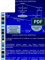 Αναπνευστική αλυσίδα PDF