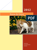 Razas de Gatos 2012