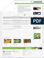 CIRKULACIJA - Biljna formula za poboljšanje cirkulacije (recept) - BILjNE TINKTURE - Centar za prirodnu medicinu