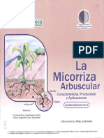 La Micorriza Arbuscular PDF