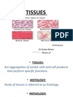 Tissues: DR - Tooba Rehan Pharm-D