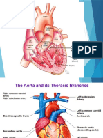 Cardiovascular-system.pptx