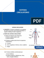 Sistema Circulatorio