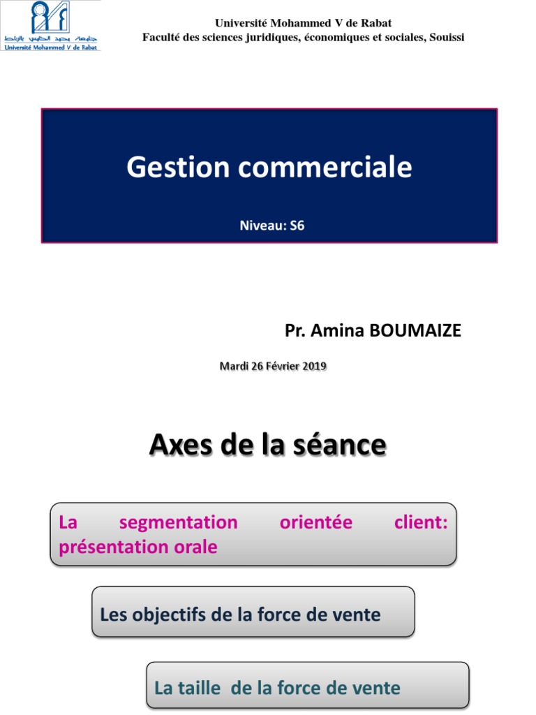 Management de la force de vente efficace | PDF | Sodles | Sociétés
