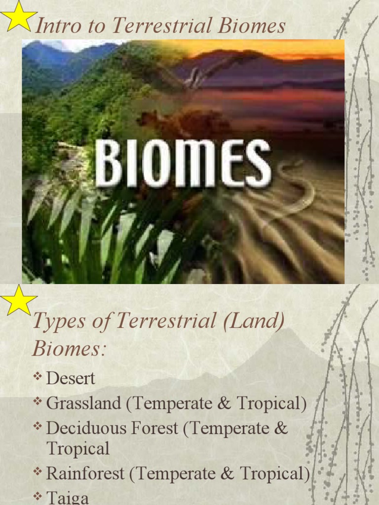 Terrestrial Biomes | PDF