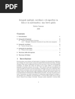 Integrali Multipli, Curvilinei e Di Superficie in Fisica e in Matematica: Una Breve Guida