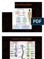 Autonomic Nervous System (2)