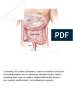 aparato digestivo (1).pptx