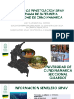 Semillero de Investigacion Sipav Programa de Enfermeria Universidad de Cundinamarca