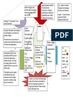 Concept Map Stroke