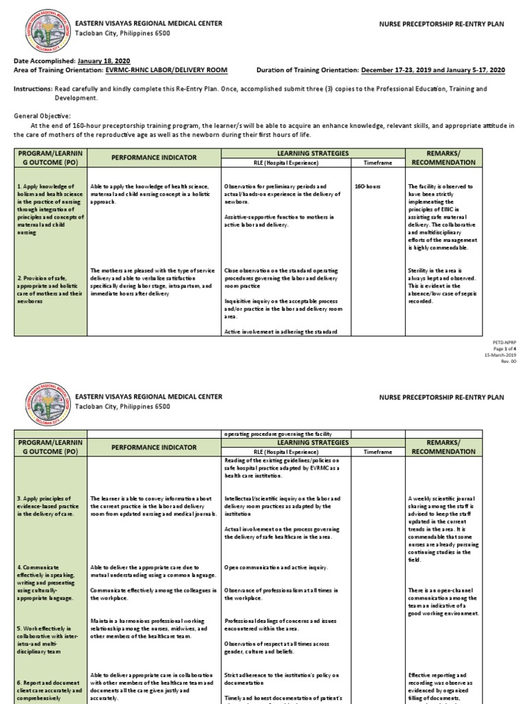 Nursing Preceptorship Re-Entry Plan | PDF | Childbirth | Nursing
