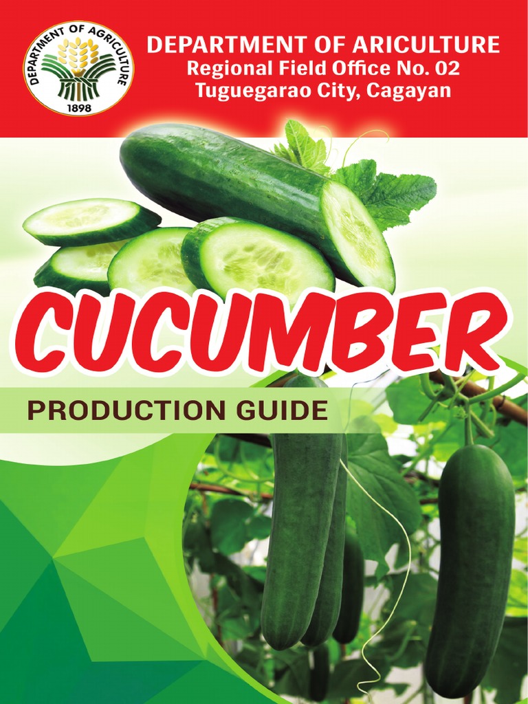 A Comprehensive Guide to Cucumber Production Varieties, Nutritional Value, Land Preparation