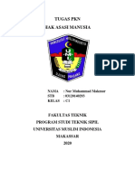 Nur Muhammad Makmur 03120140293 Resume PKN c1