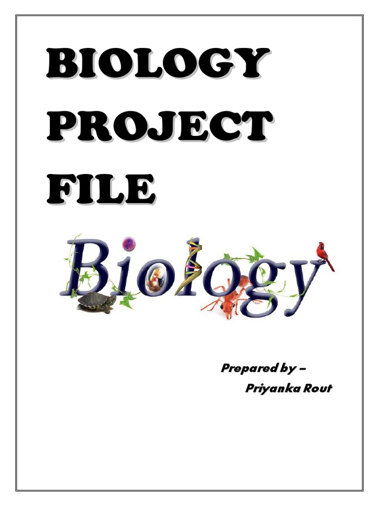 Pollination Study Project Report | PDF | Pollination | Pollinators