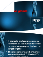 8.endocrine Glands