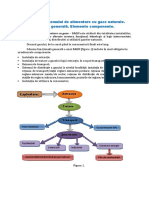 C3-Structura Sistemului de Alimentare Cu Gaze Naturale