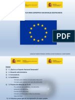 Guia Practica para Expertos Nacionales Destactados