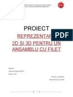 Proiect Final