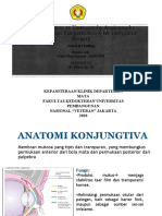 Journal Reading SMF Mata - Pterygium - Salma Rizqi Amanah - 1920221093
