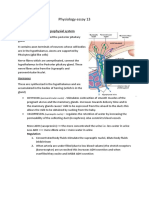 Hypothalamo-Neurohypophysial System Physiology Essay
