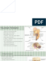 Anatomi Telinga Tengah-Manajemen Benign
