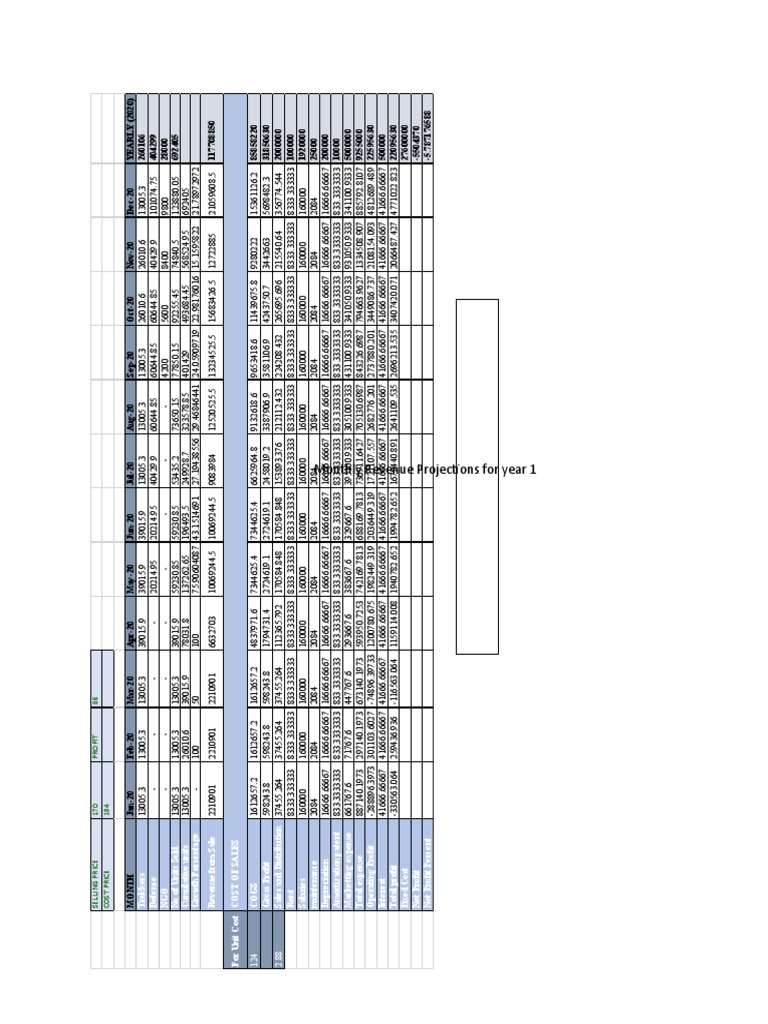 Monthly Revenue Projections For Year 1 PDF Net Expense