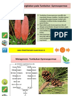 Perkembangbiakan Pada Tumbuhan Gymnospermae, Tumbuhan Paku Dan Lumut