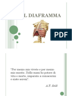 Il_Diaframma