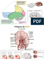 Infografias Fono Adulto