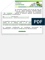 POLICIA NACIONAL - Constancia Pérdida de Documentos o Elementos