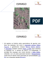 Rui Pinto Coop Felgueiras PDF