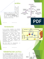 Bioenergetica 13 y 14