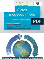 Ciclo Biogeoquimicos 2