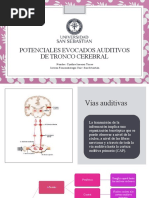 Manual de PEAT para Screening Auditivo | PDF | Frecuencia | Decibel