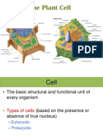 2 The Plant Cell