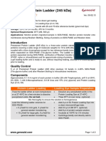 Prestained Protein Ladder for SDS-PAGE & Western Blotting