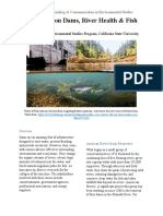 Perspectives On Dams, River Health & Fish Populations