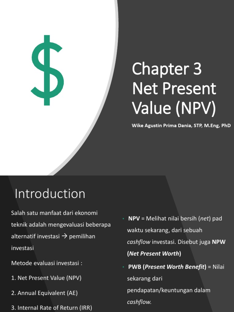 Evaluasi Investasi Dengan Npv Pdf