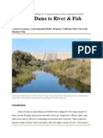Enstu 300 Policy Analysis Dams