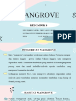 Mangrove Kelompok 6