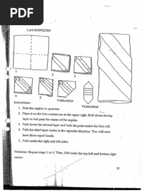 Napkin