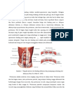 Anatomi Fisiologi Peritonitis