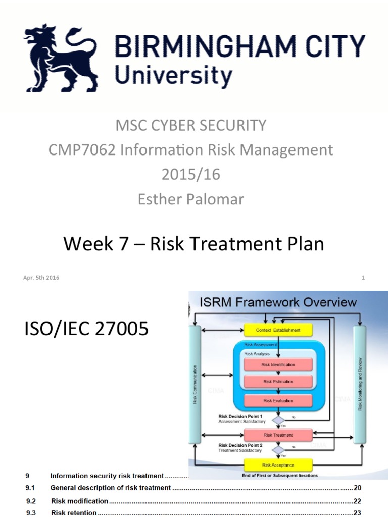 Cybersecurity Risk Treatment Plan | PDF | Risk | Computing